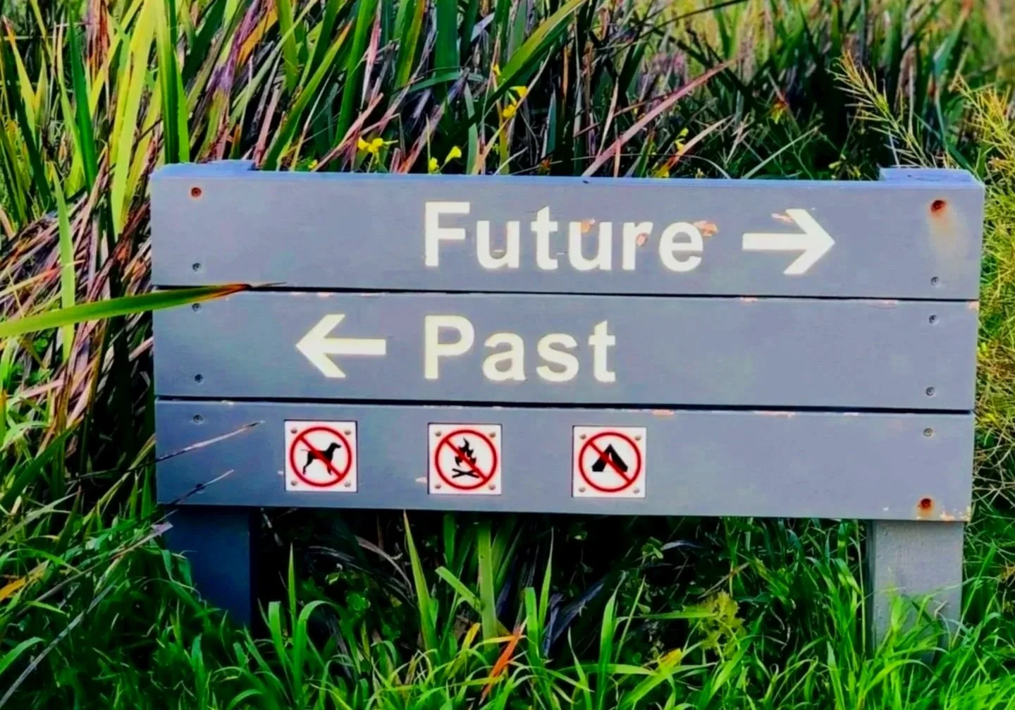 Timelines Eclipse, Earth Upshifts &amp; Our Future Ancestors Arrive