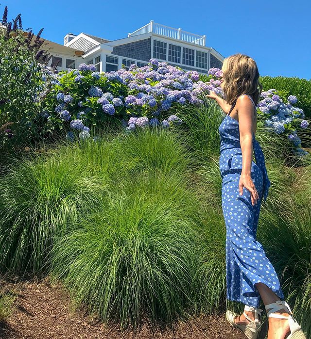 Reach for the hydrangeas!  Not sure what&rsquo;s happening here, but spring got me thinking about my favorite flower and how I can&rsquo;t wait to be back in Cape Cod this summer.  They&rsquo;re everywhere there and I&rsquo;m here to document with ra