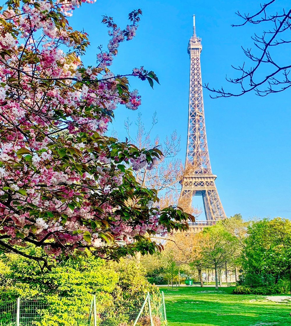 Happy Birthday Eiffel Tower Lauren Petrowski