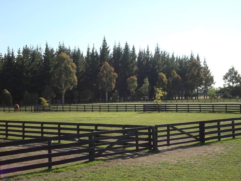 Paddocks.jpg