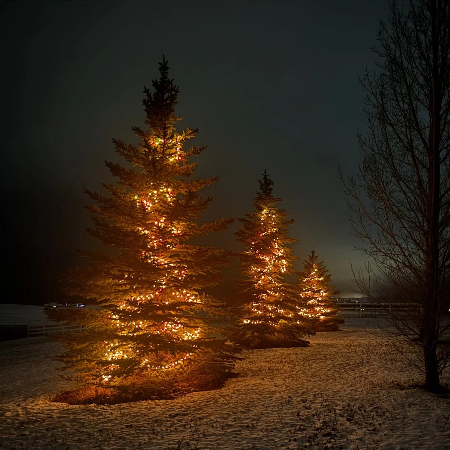 LIGHT

Hope y&rsquo;all are having a great holiday season. Wishing everyone a Merry Christmas and a Happy New Year!

Find the light when things get dark. Move when you feel stagnant. Cook something delicious yourself for friends and family when hungr