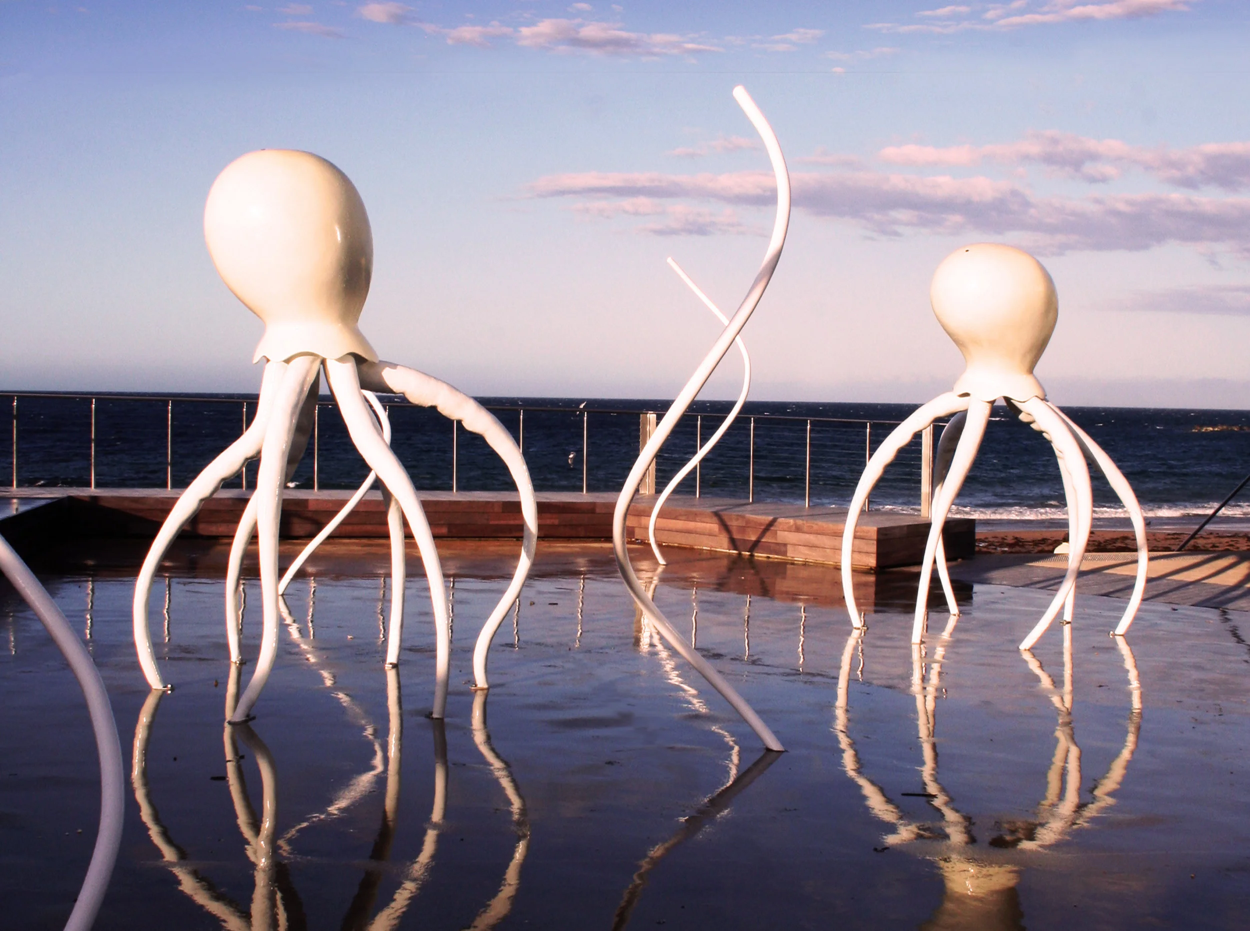 Jellyfish Sunset_banner.jpg