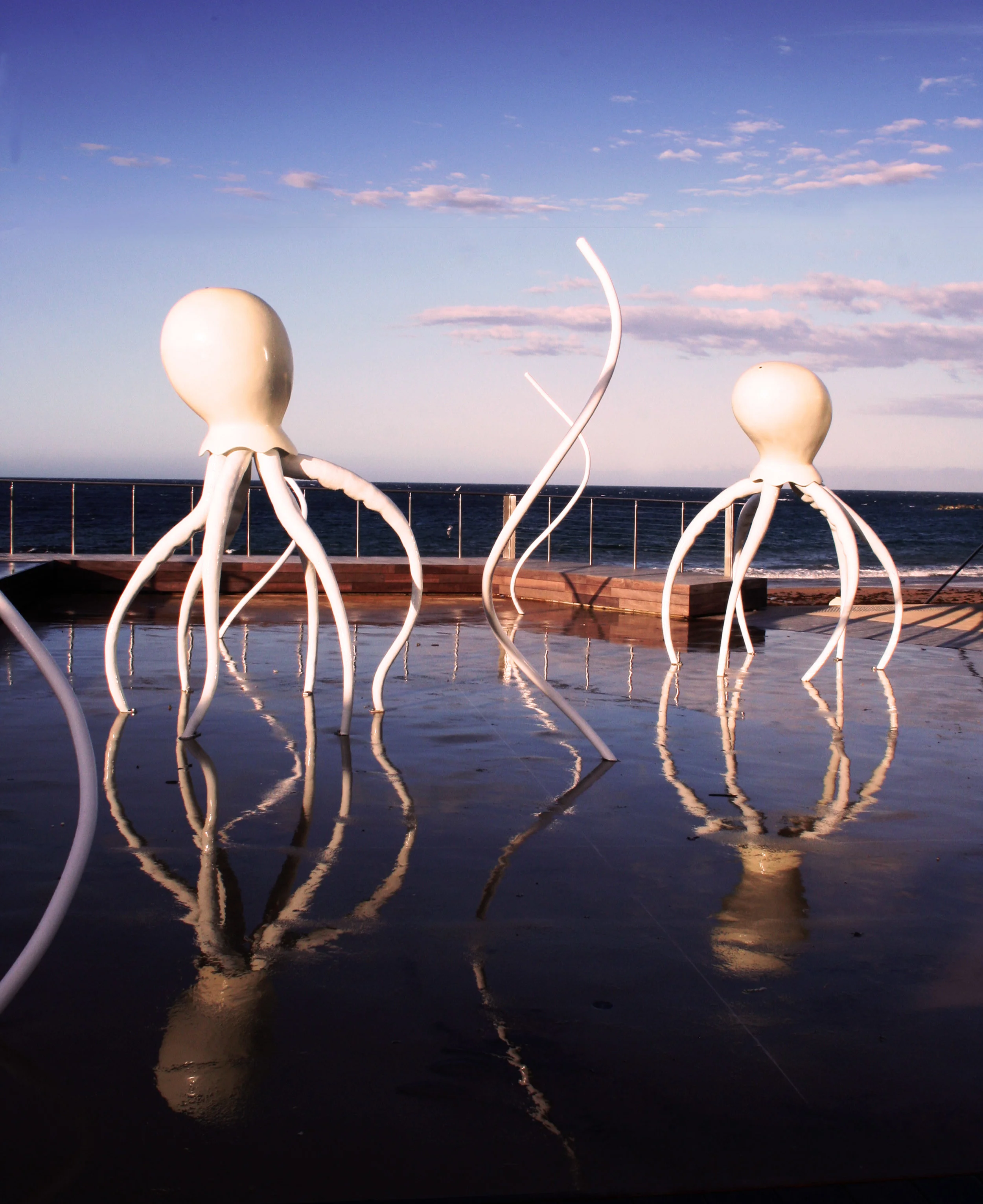 Jellyfish Sunset.jpg