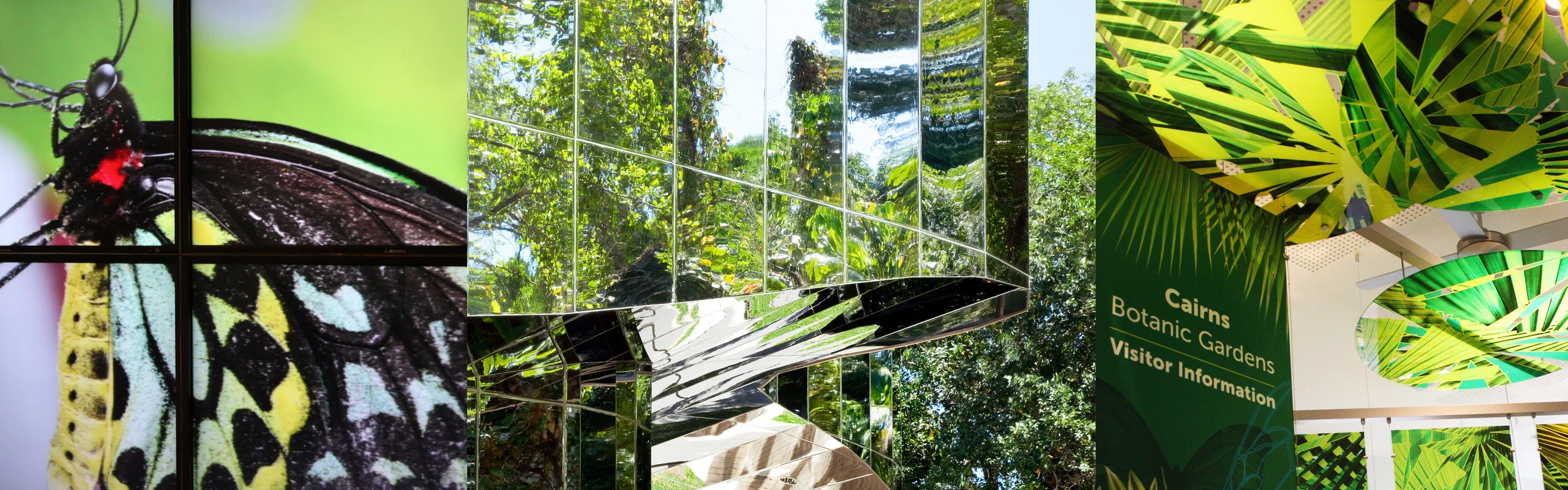 Cairns Botanic_Banner.jpg