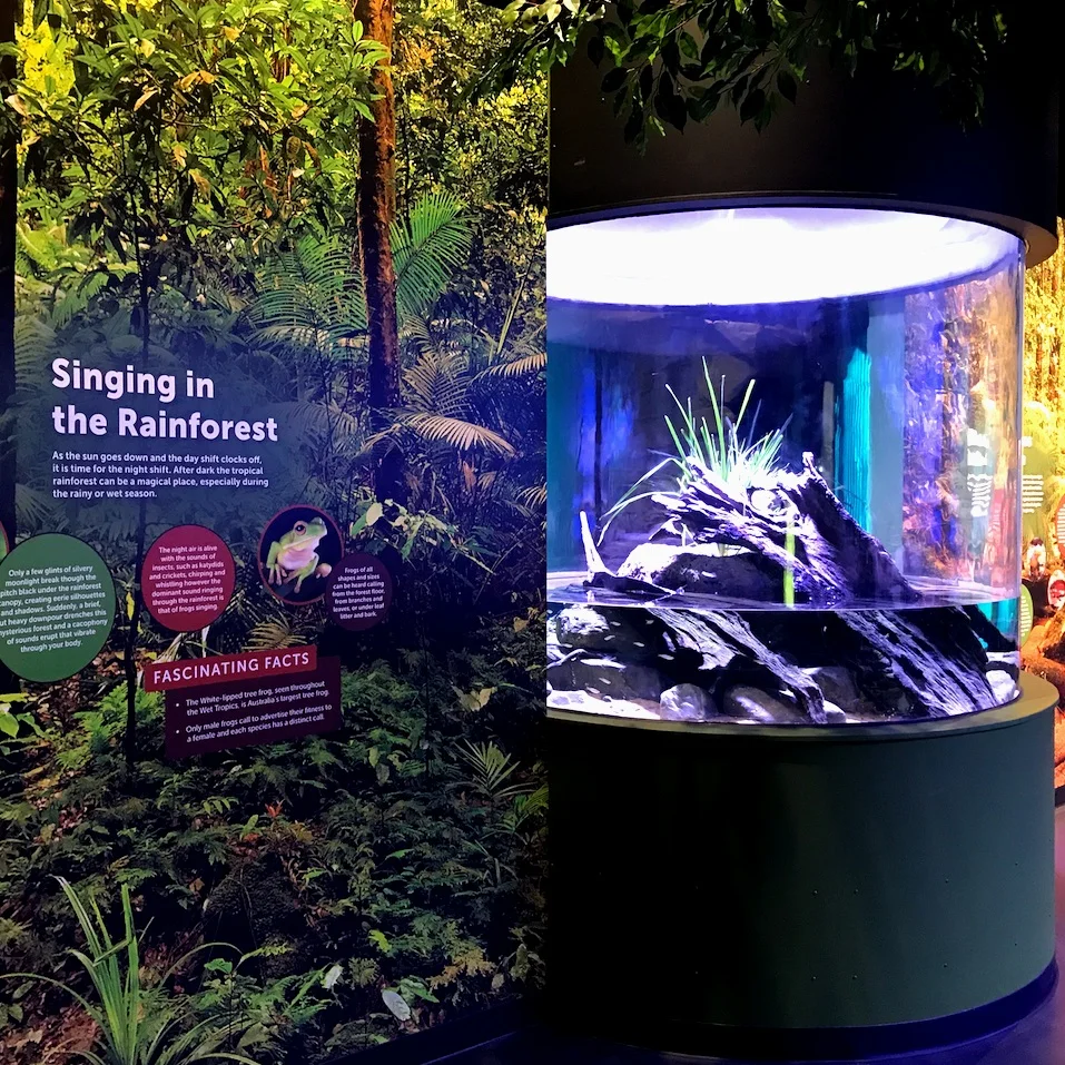 Cairns Aquarium Exhibition