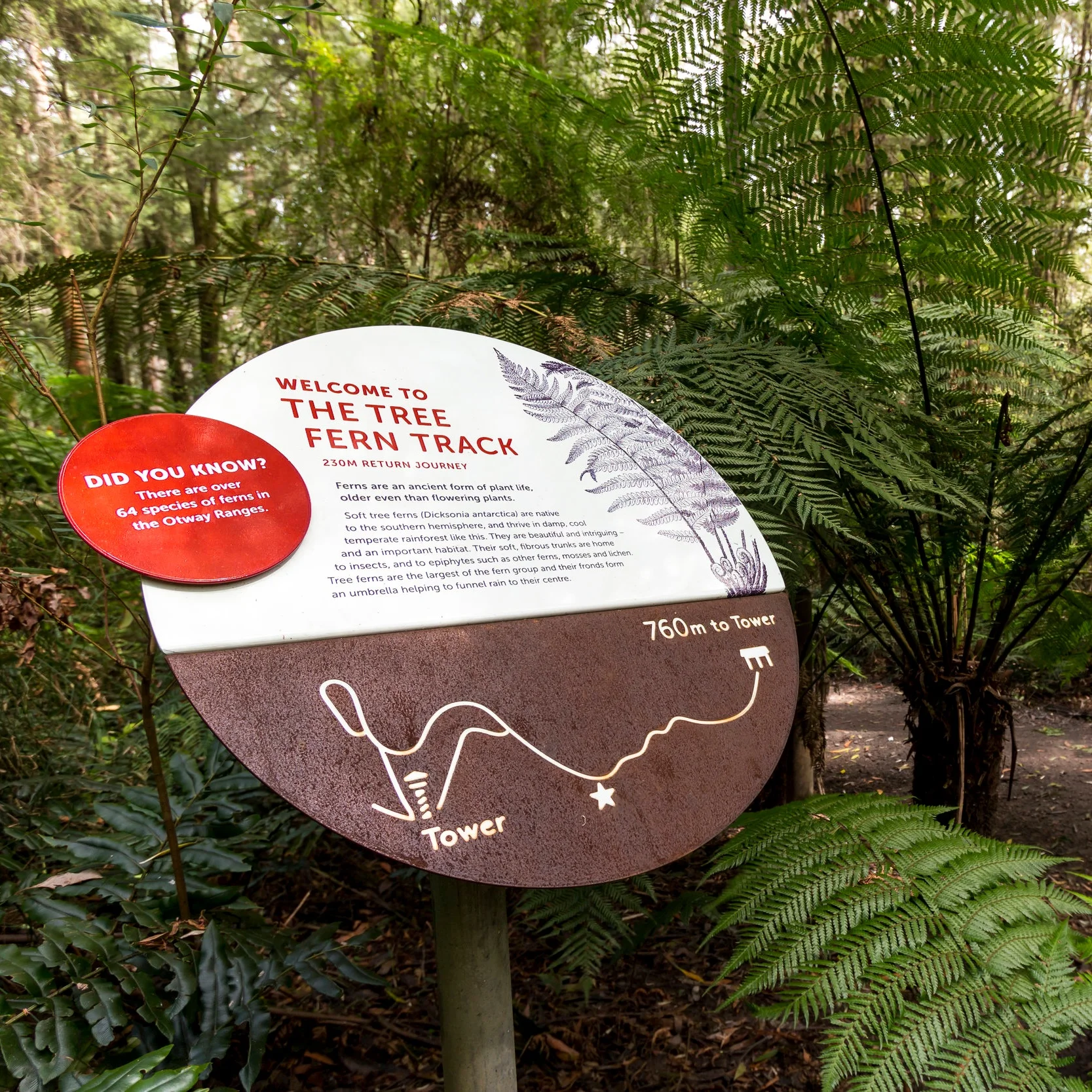 Otway Fly Signage Trail, Otway Fly Treetop Adventures