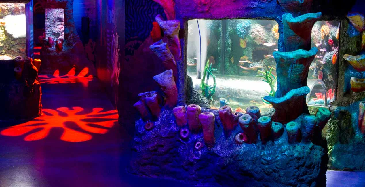 slma-coral-caves.jpg