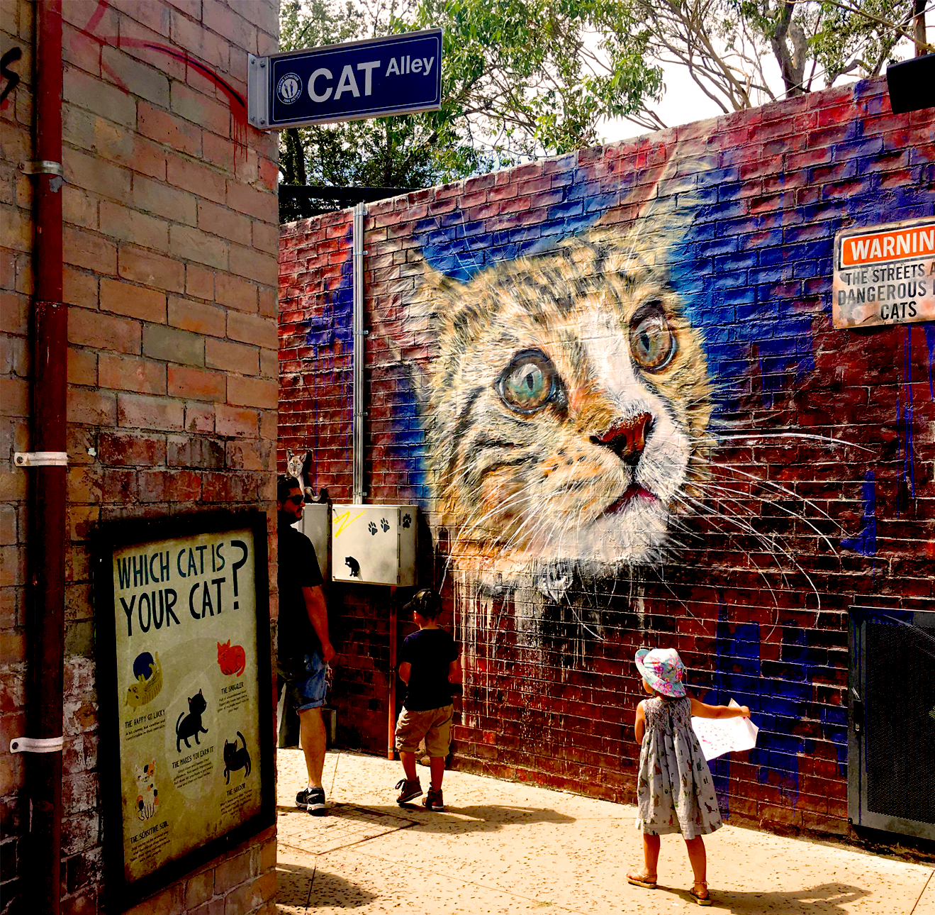 LOW RES Photo 6-2-19, 11 30 36 am.png