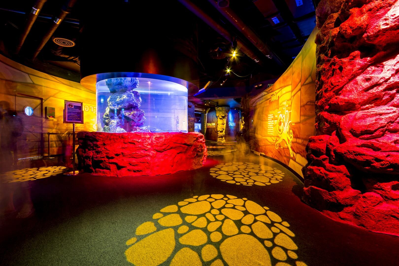 20141207_SeaLifeBangkok_0005 (Large).JPG