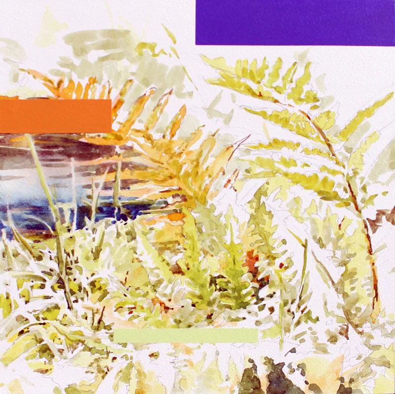Creekside Fern
