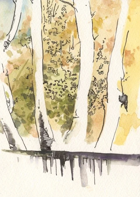 View Across the Railing, WEB.jpeg