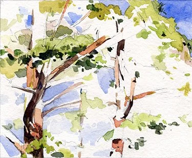 Blue Ridge Pines, Crozet (WEB).jpg