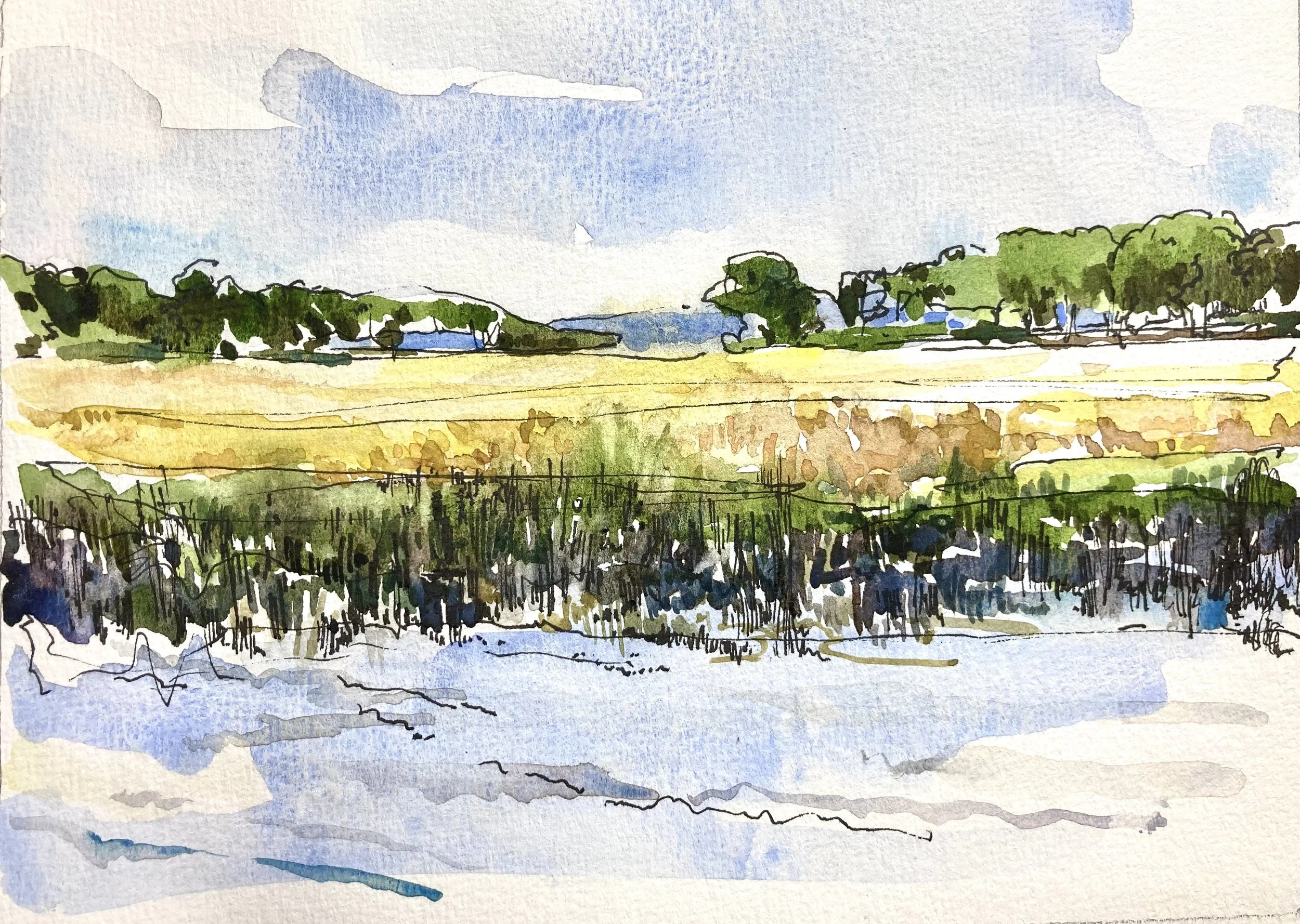 Marsh & Islands, Savannah Ga.jpeg