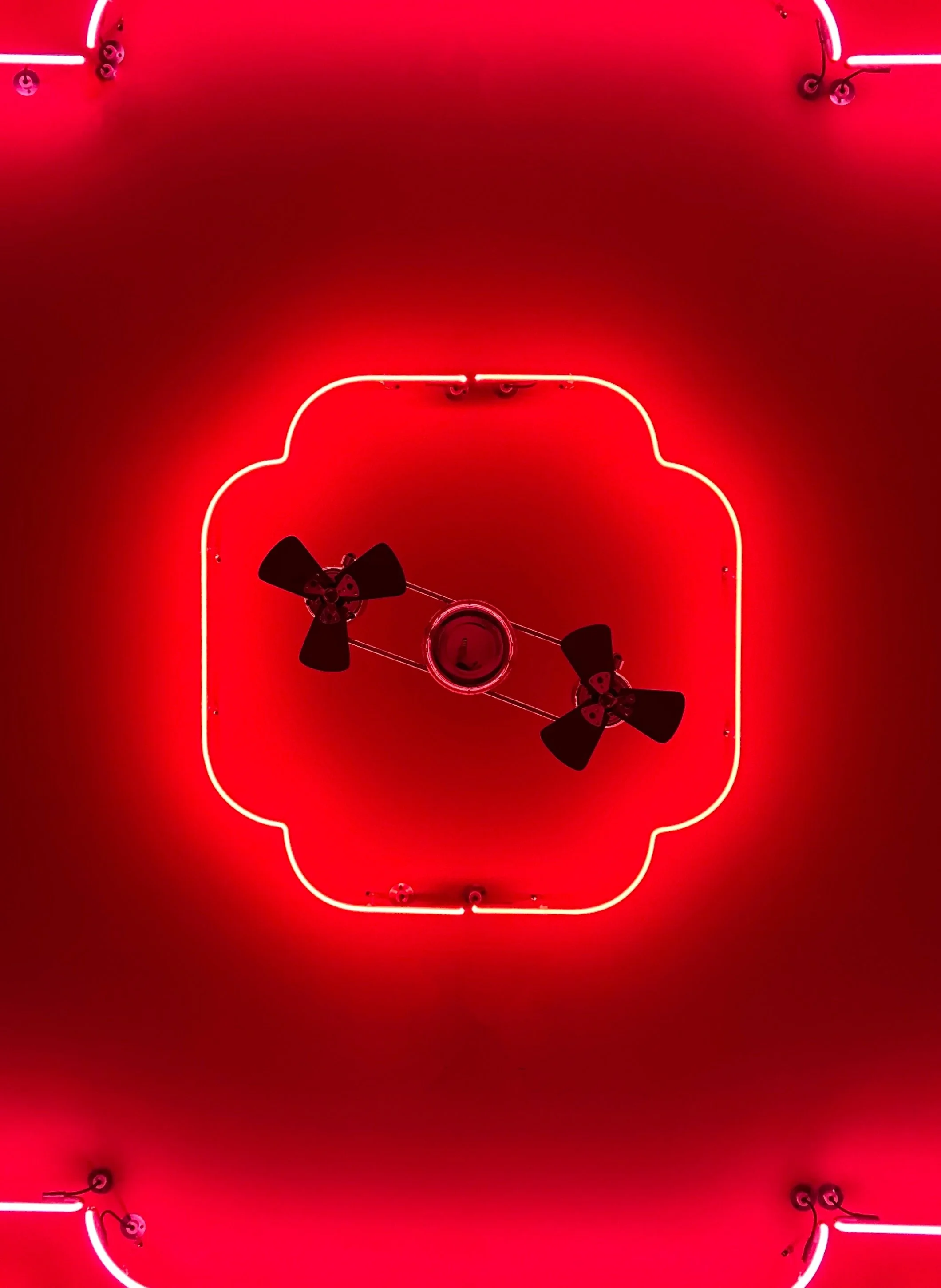 cosmica-neon-banner.jpg