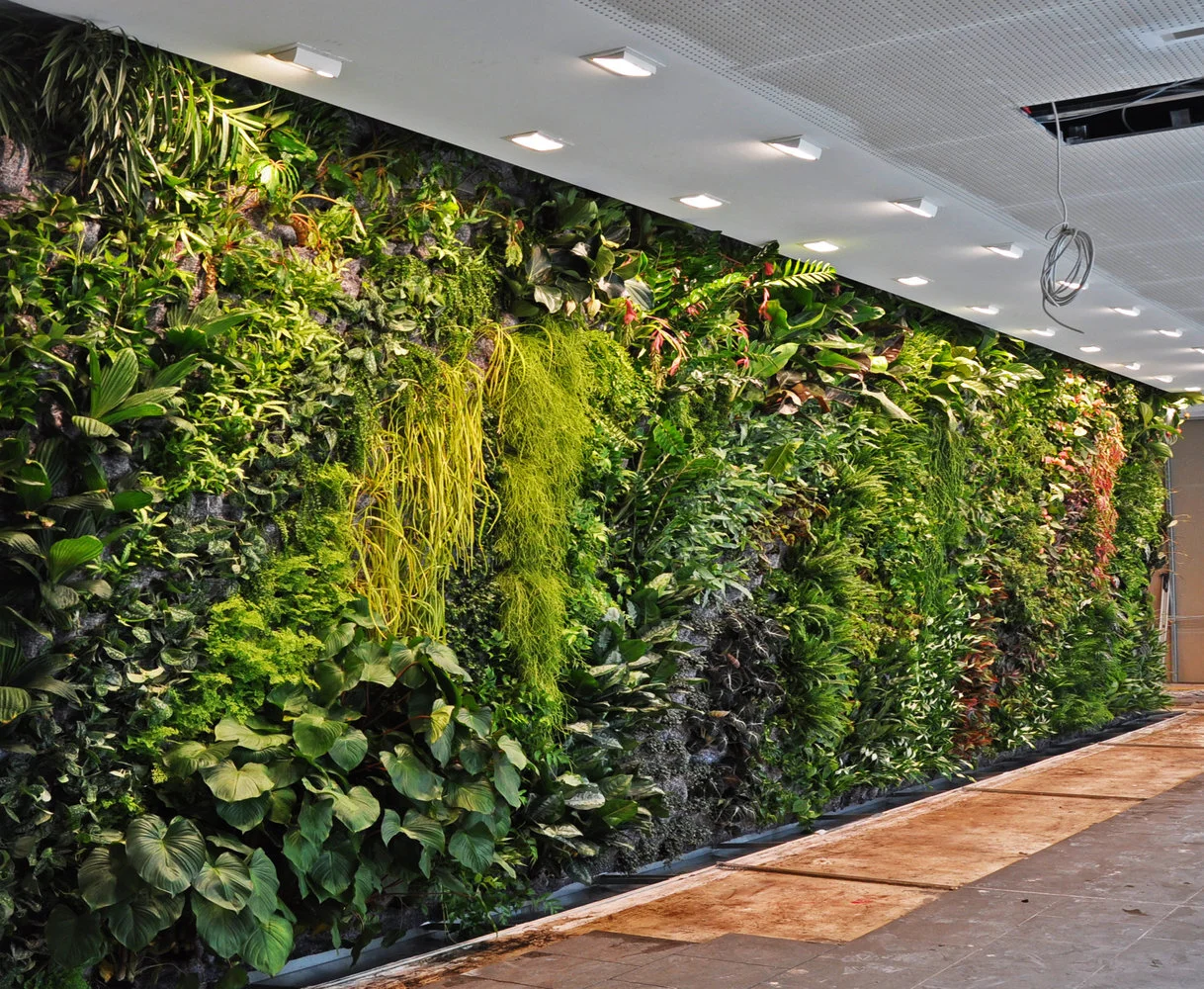Conéctate con la naturaleza verticalmente 