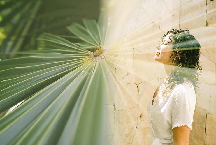 New Moon | Qoya + Despacho