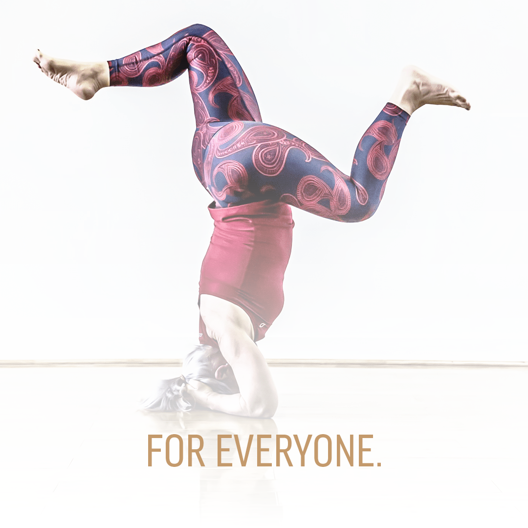 powerandposture.com_app_arm balance_handstand_copyrighted 2019_for_everyone.png