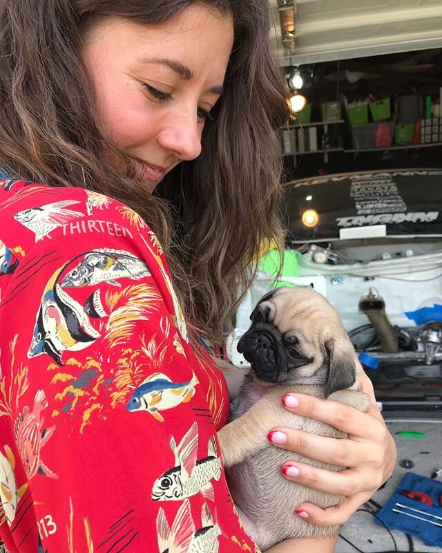 I spent a fair amount of time last year looking at pugs on Craigslist, which was a journey that ultimately led me to Reseda where I found the pug of my dreams!! Tony&rsquo;s name was &ldquo;Handsome&rdquo; before I got him and honestly, with that fac