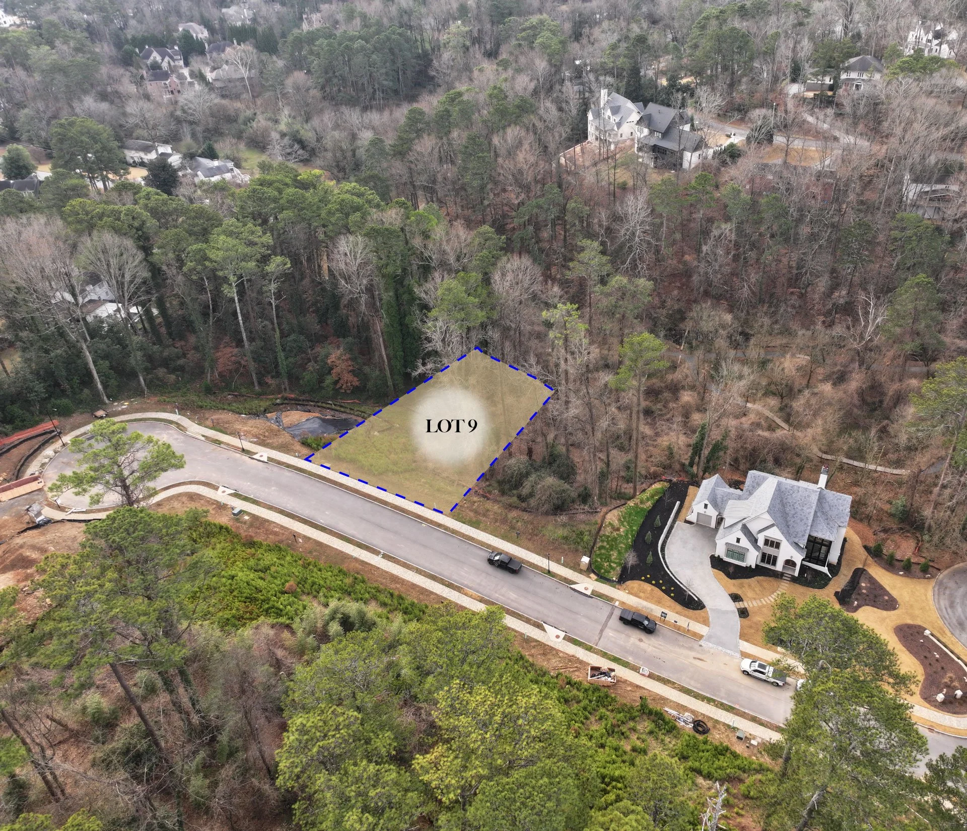 Blue Heron Walk | Lot 9