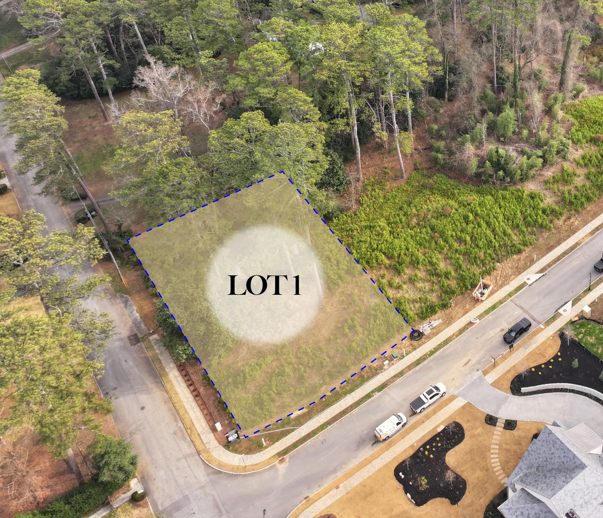 Blue Heron Walk | Lot 1