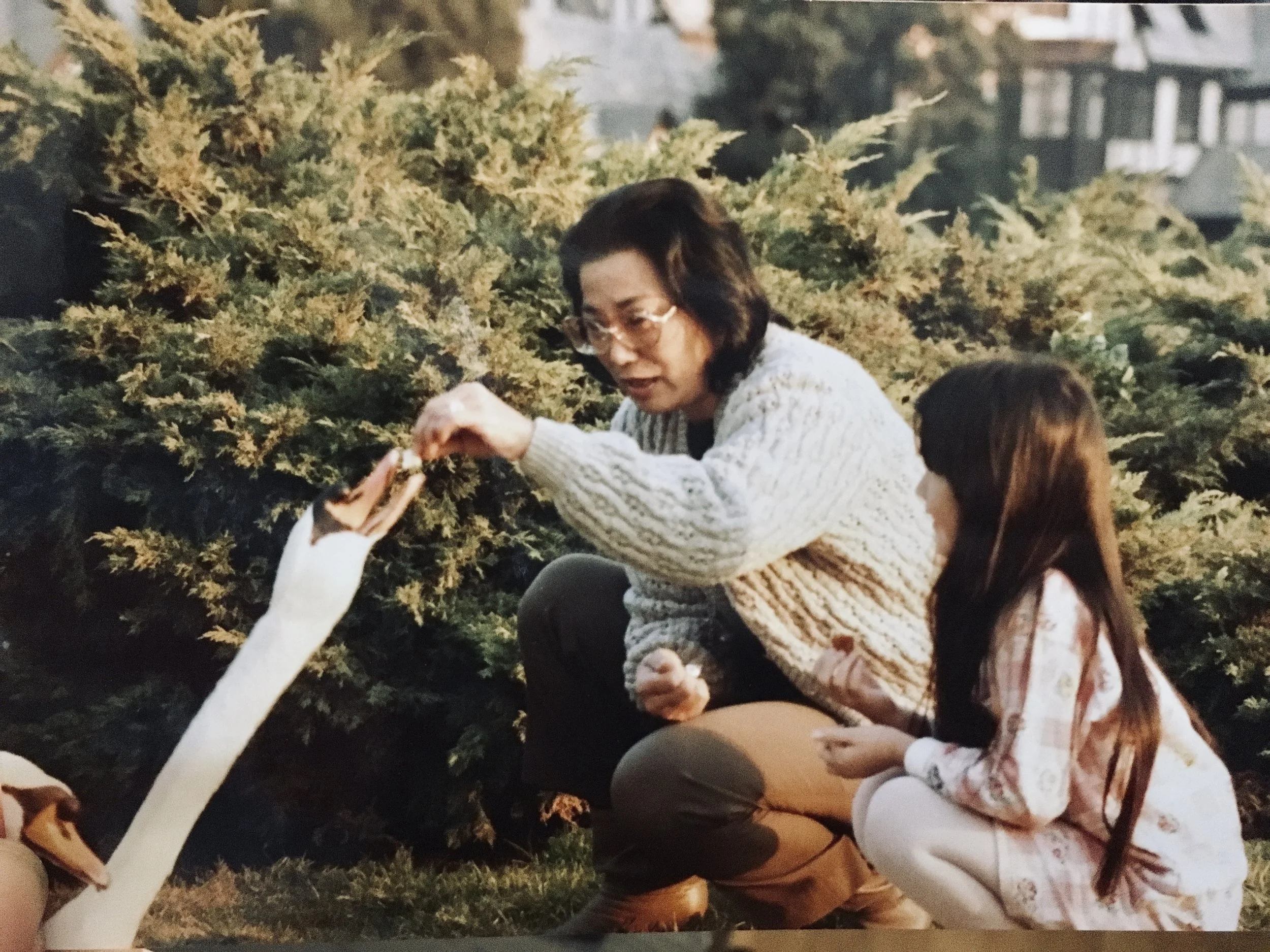 Yuri and Adina feed the swans at the cemetery