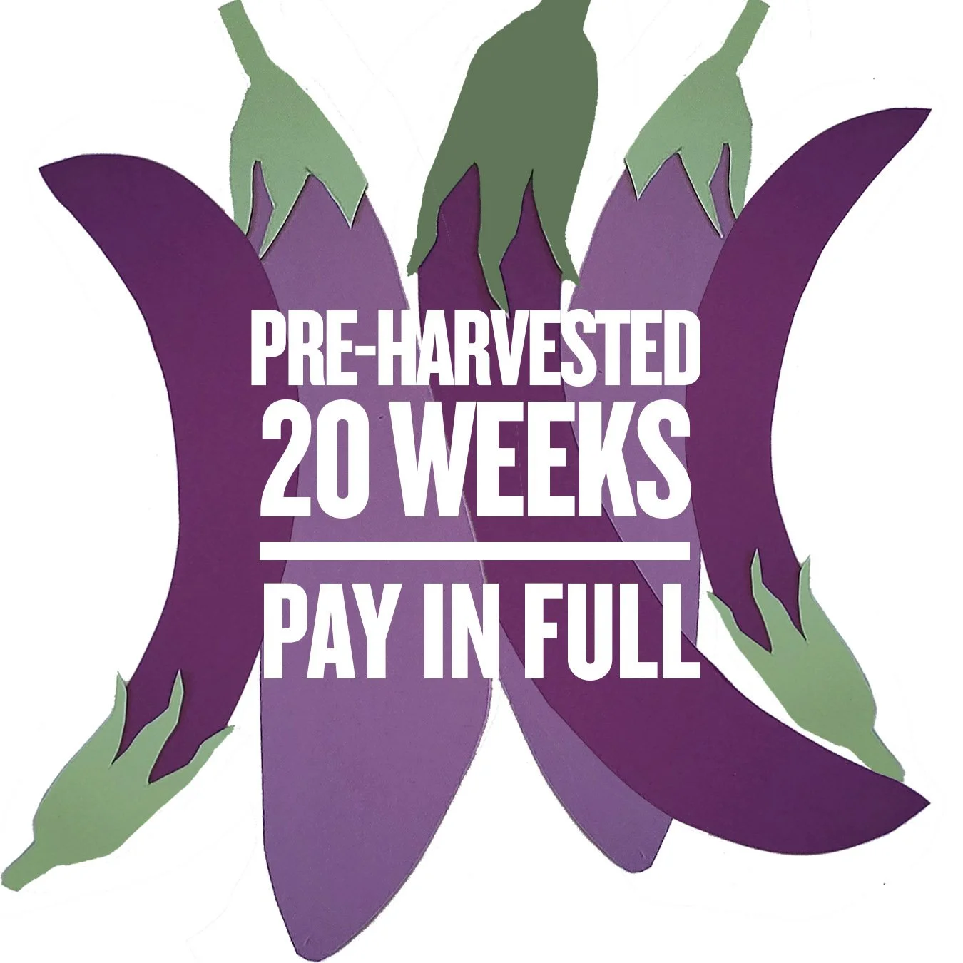 Pre-Harvested CSA (20 weeks)