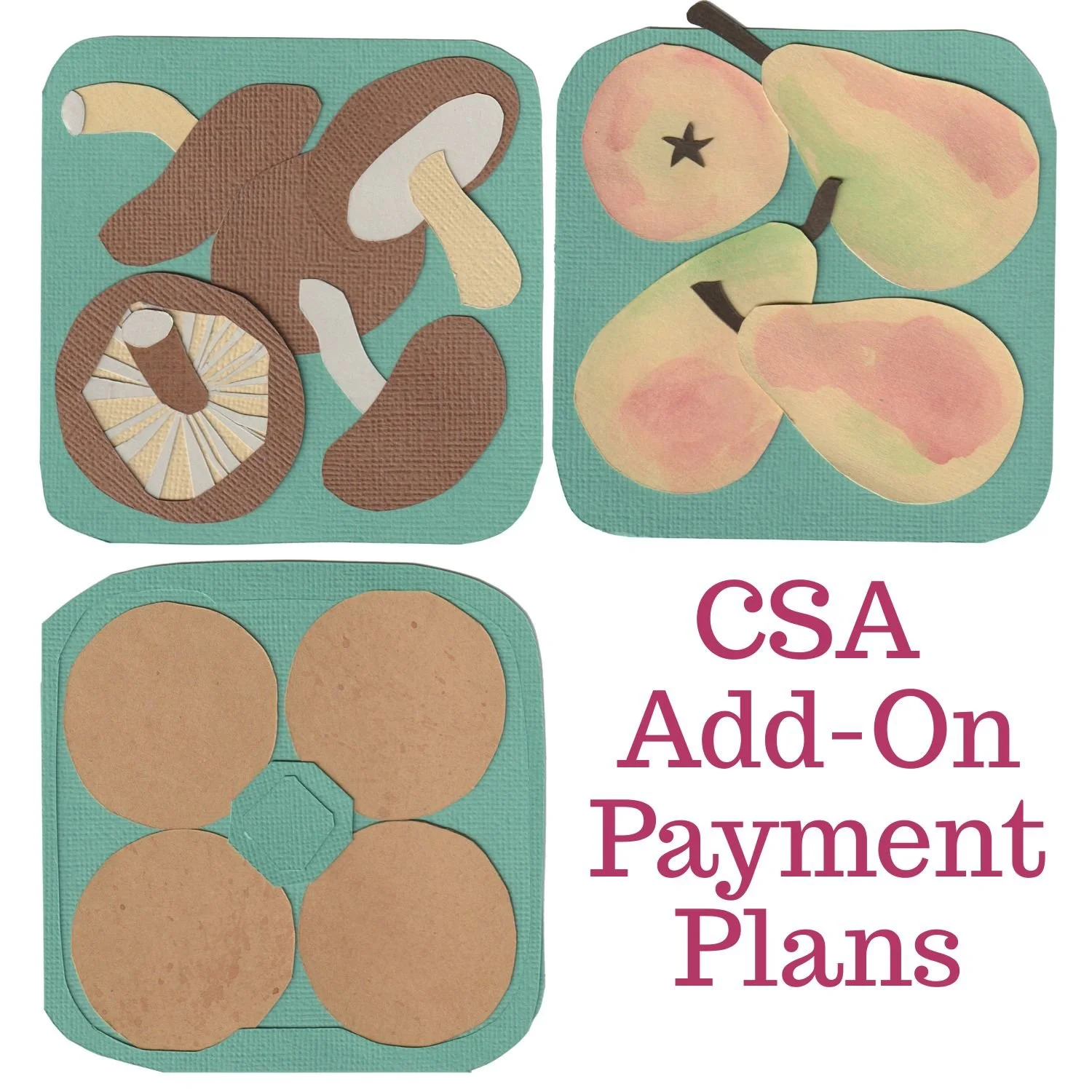 CSA Add-On Payment Plans