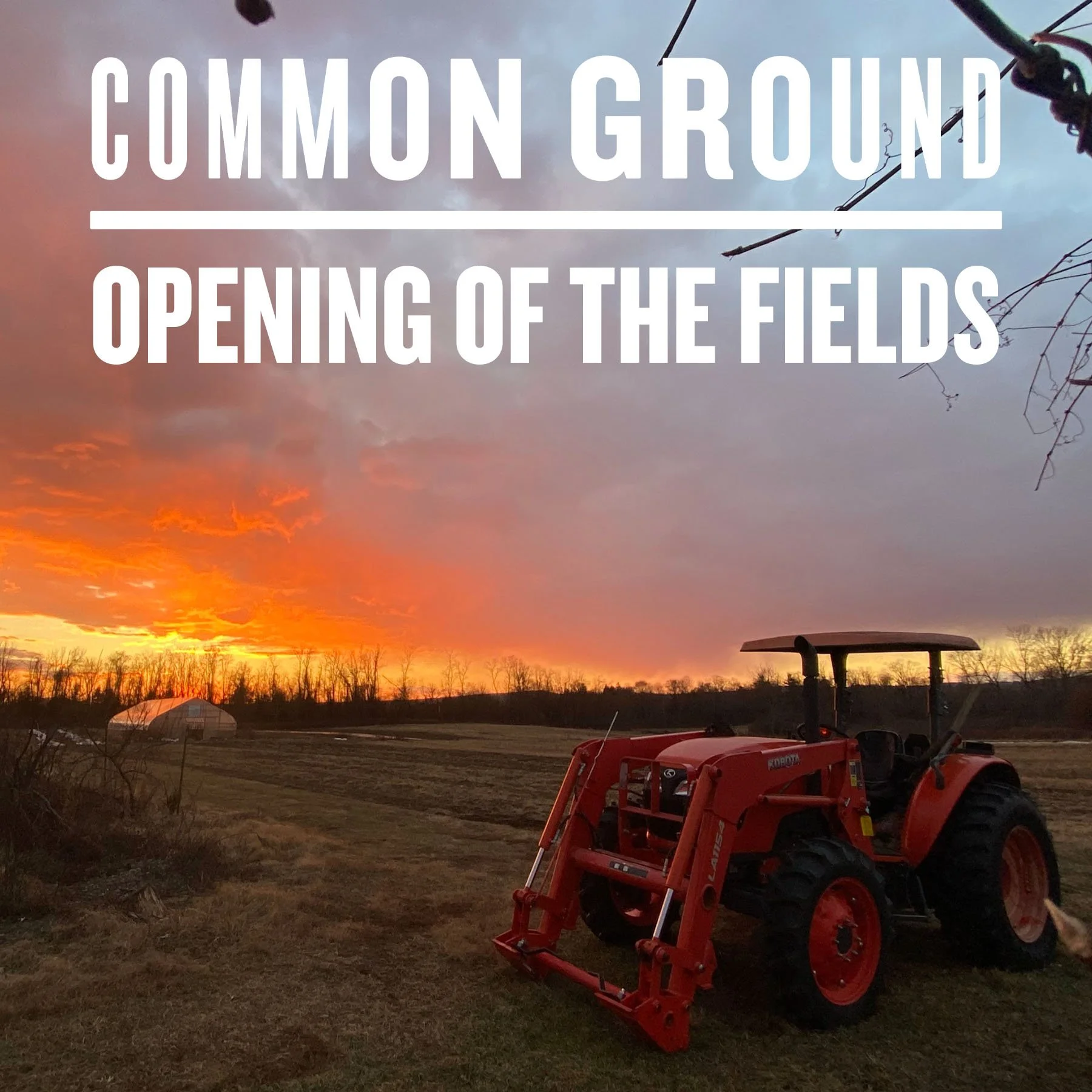 Opening of the Fields 2025 Insta.jpg