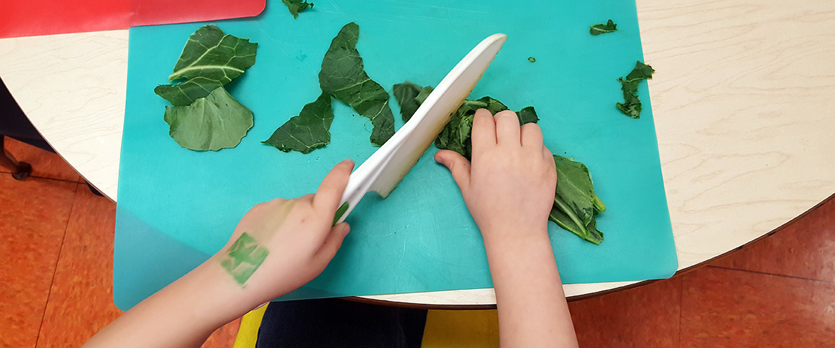Education-PreK Chef in the Classroom 2.jpg
