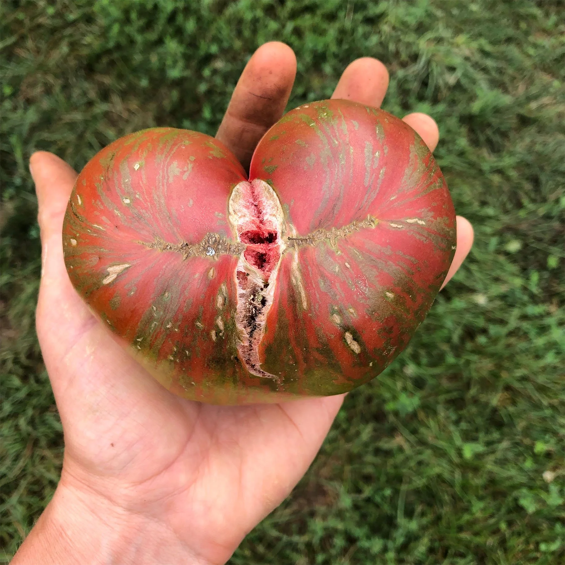 Support Common Ground Each Month!