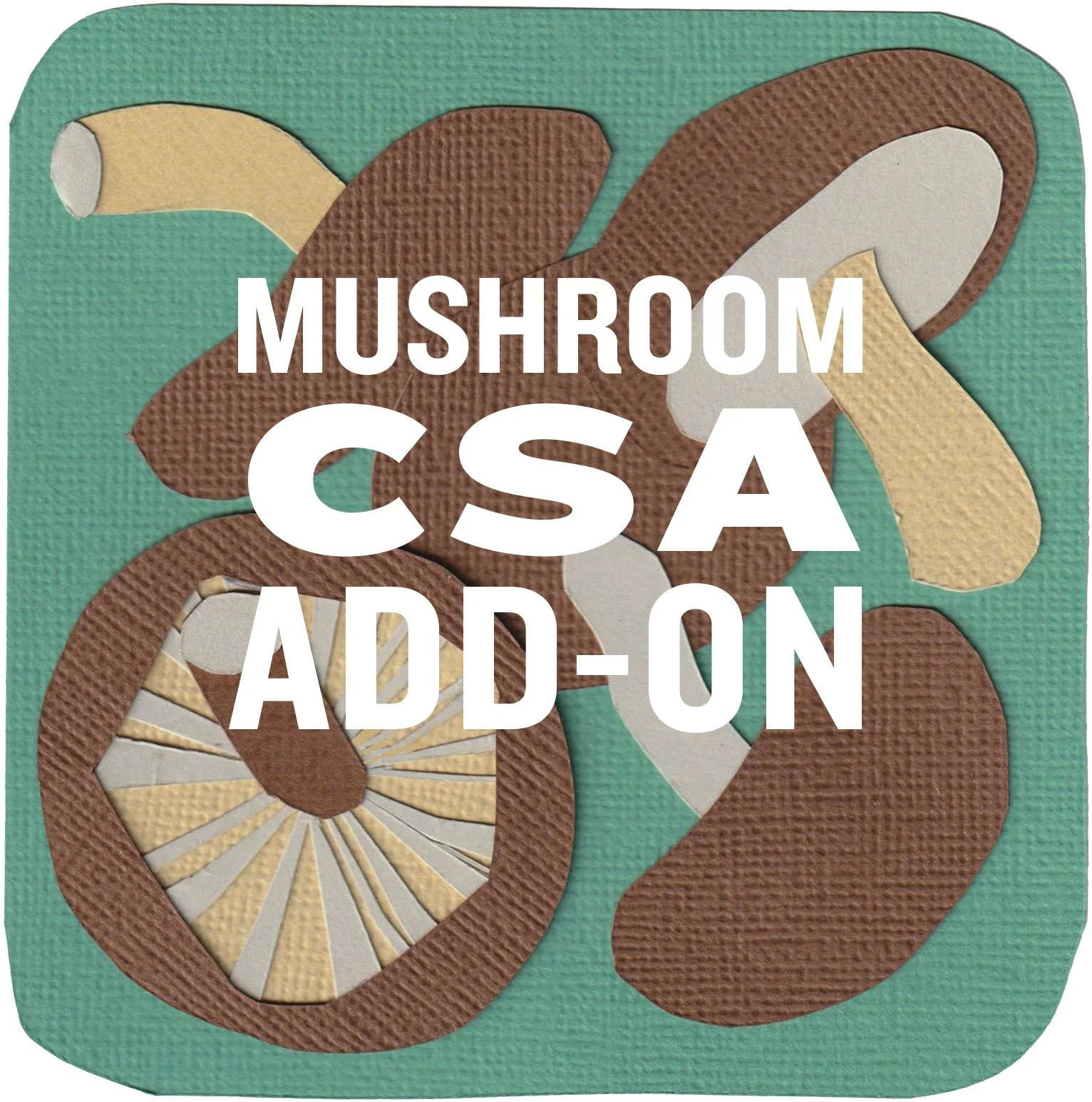 Mushroom CSA Add-On