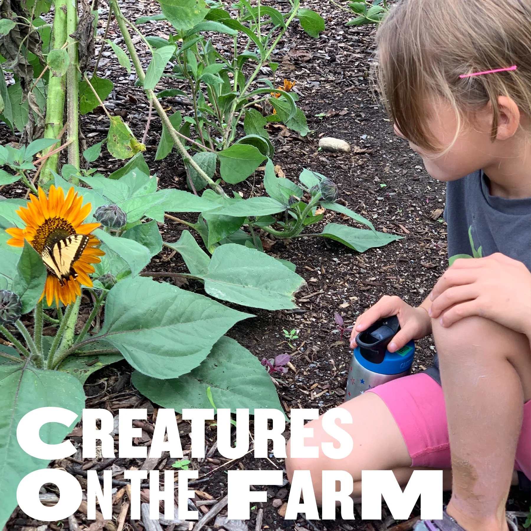 2025 Creatures TN.jpg