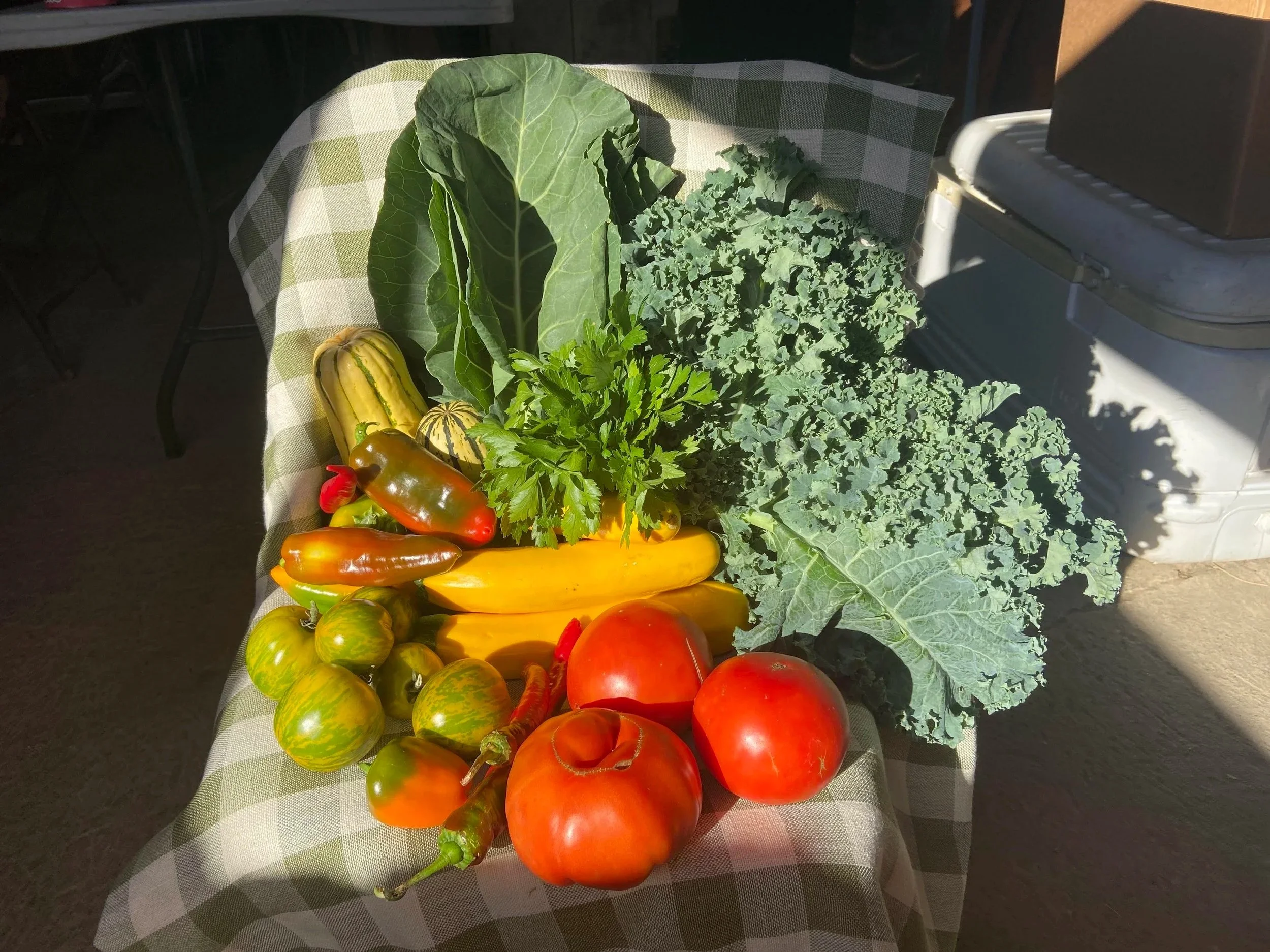 fall+csa+wk+1.jpg