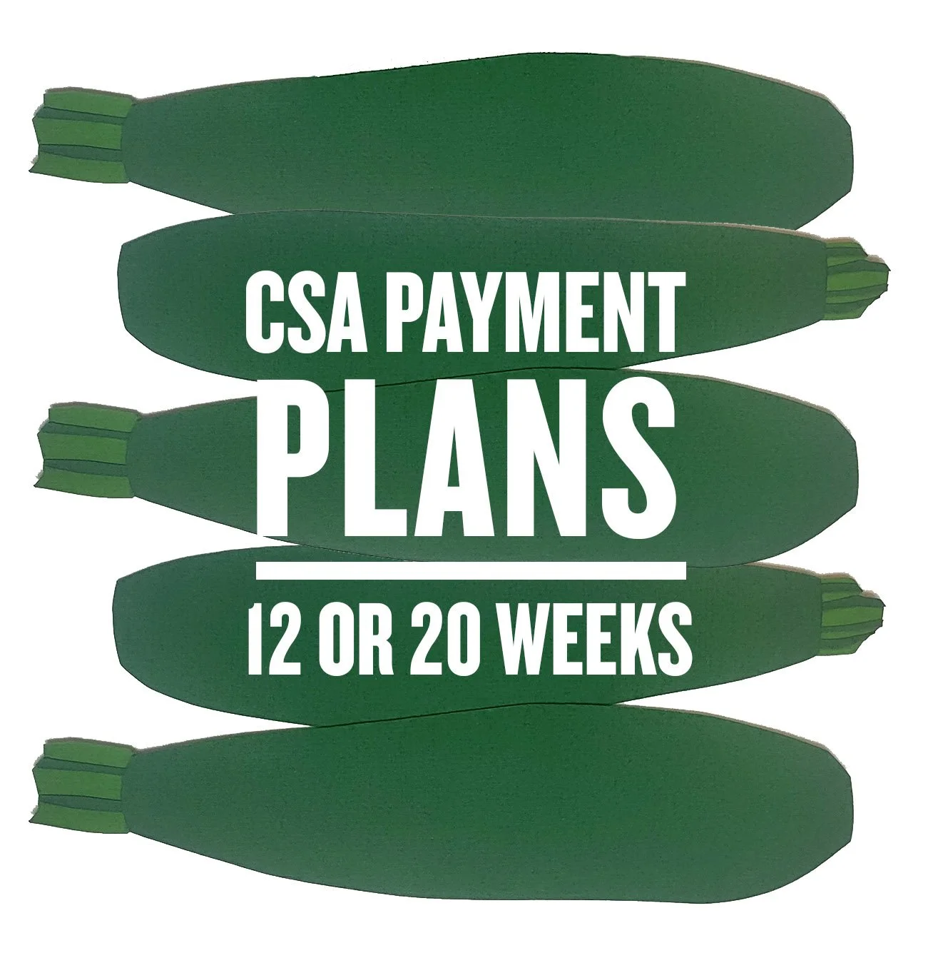 CSA Payment Plans