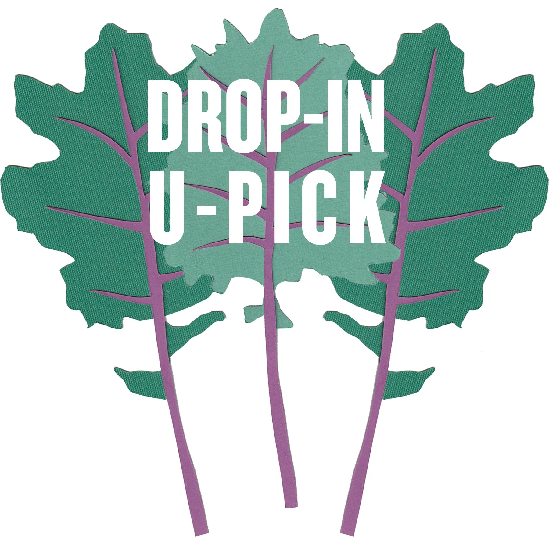 Drop-In U-Pick.jpg
