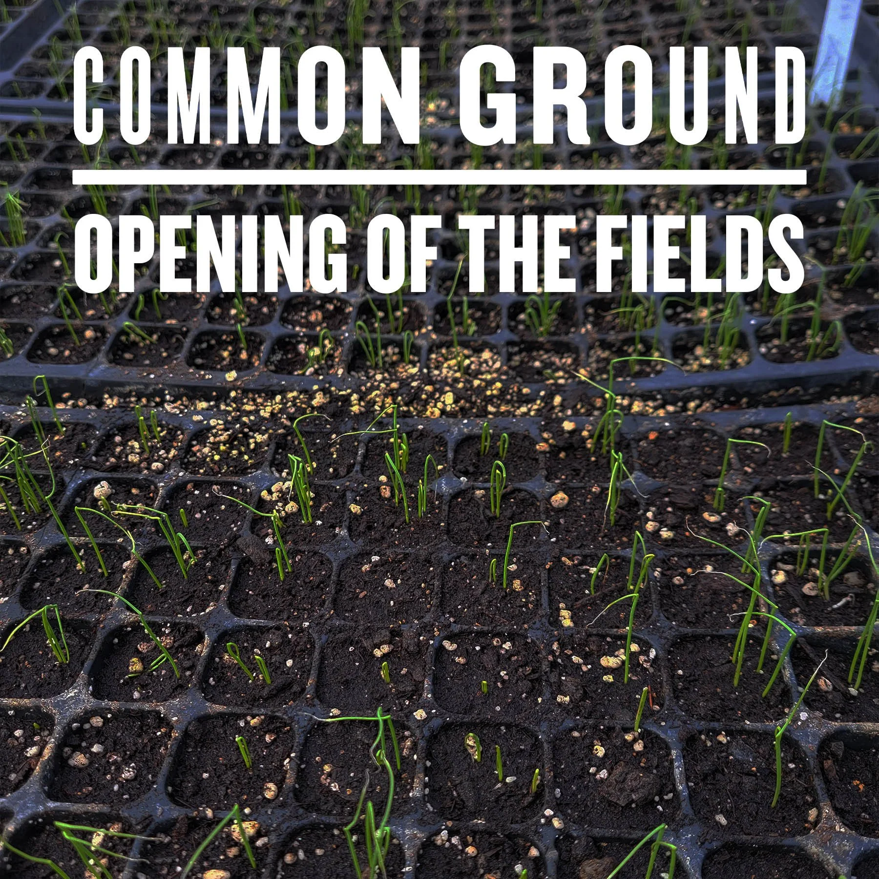 Opening of the Fields Registration 2026