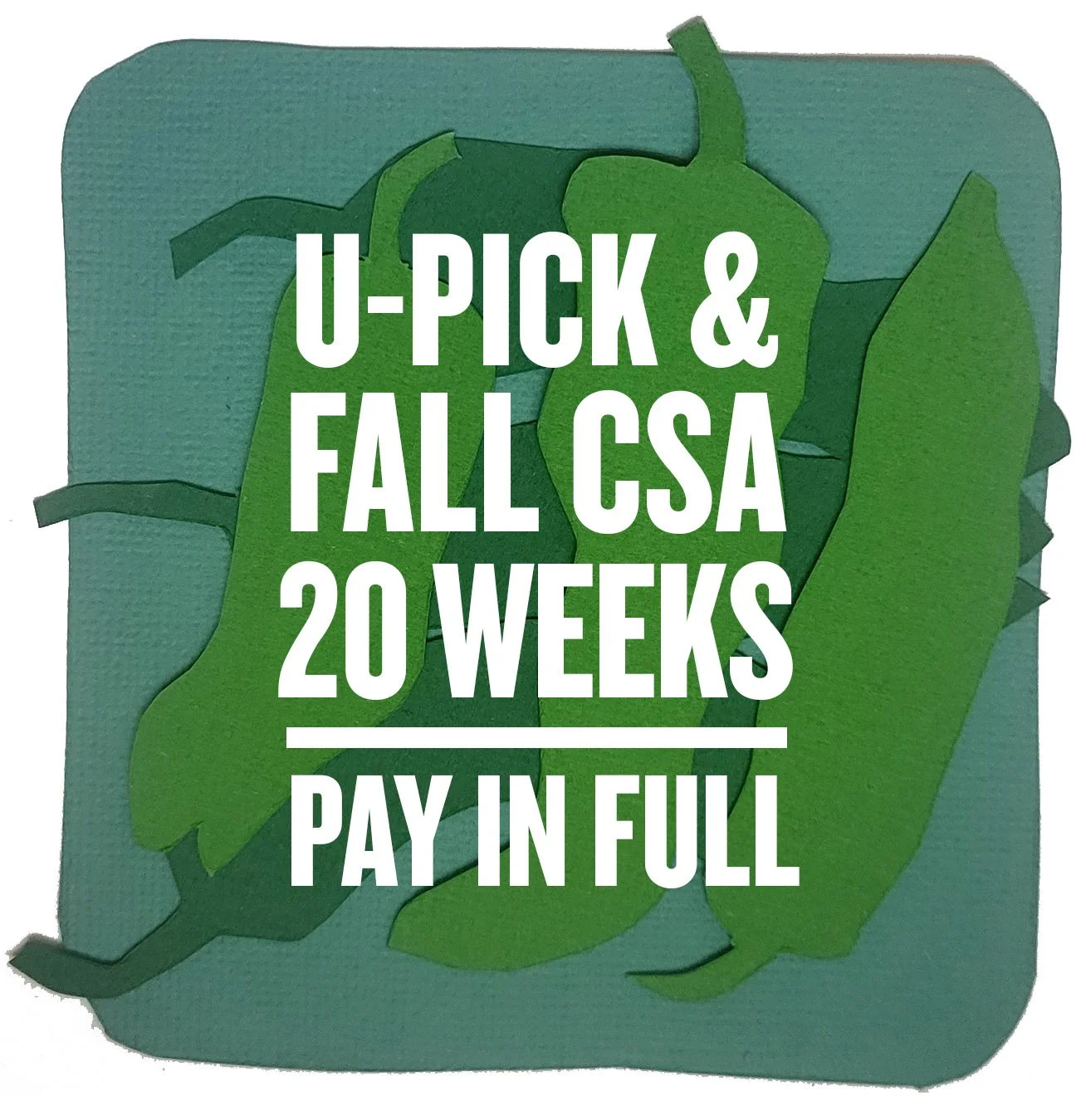 U-Pick and Fall CSA