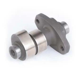 big-300ex_camshaft.jpg