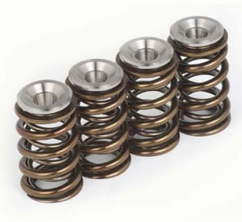 big-400ex_valvesprings.jpg