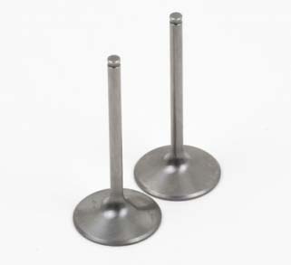 big-big-titaniumvalves.jpg