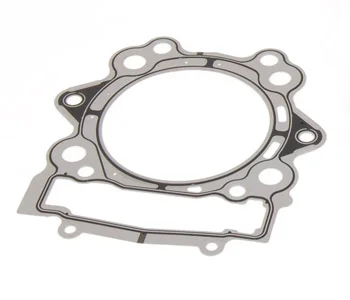 big-RAPT700-Headgasket.jpg
