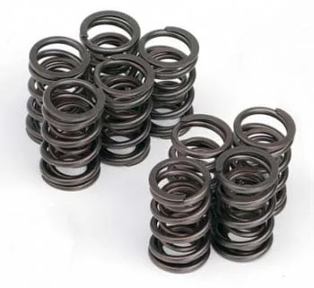 big-valvesprings.jpg