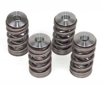big-raptor_700_hdvalvesprings.jpg