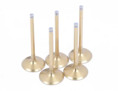 big-big-titaniumvalves_yfz450.jpg
