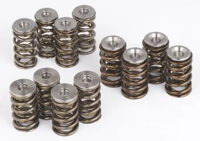 big-valvesprings_group2.jpg