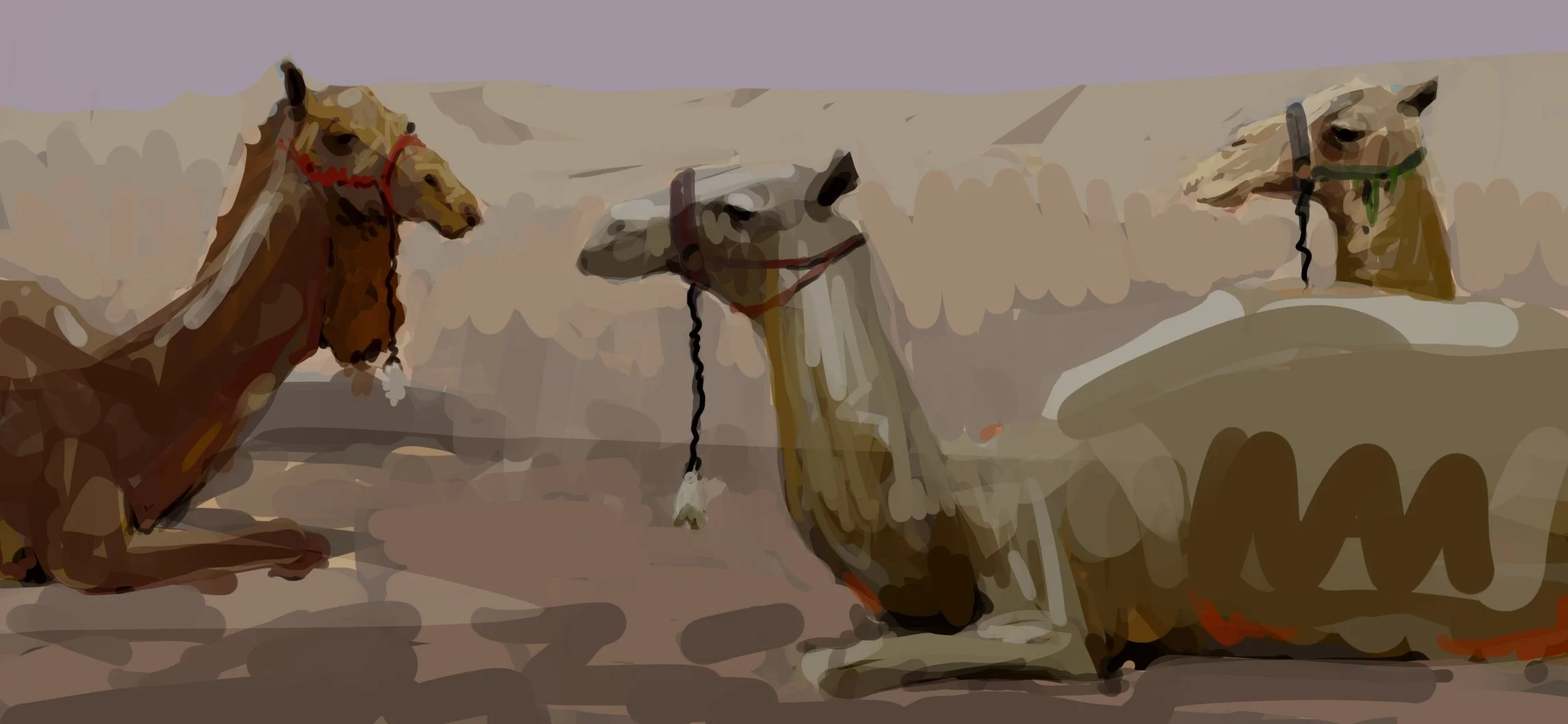 Camels