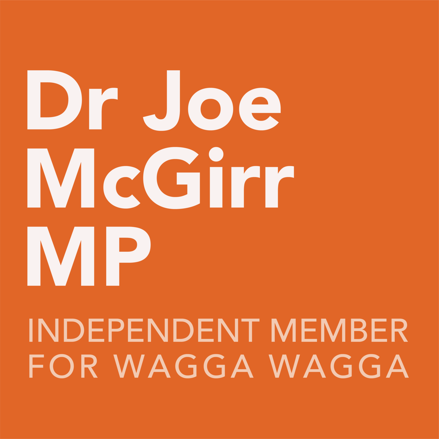 Dr Joe McGirr MP