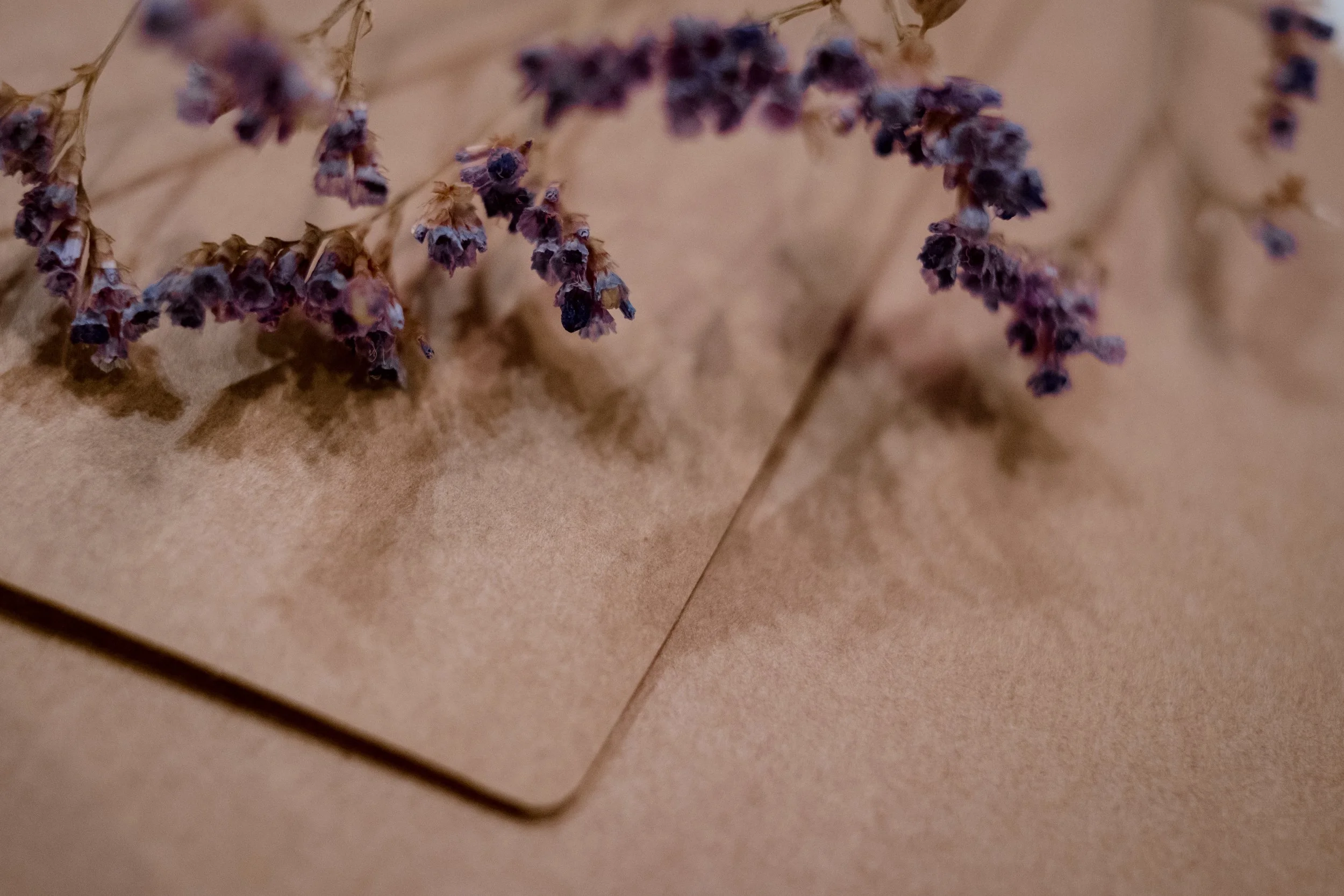 beautiful-blur-color-991483.jpg