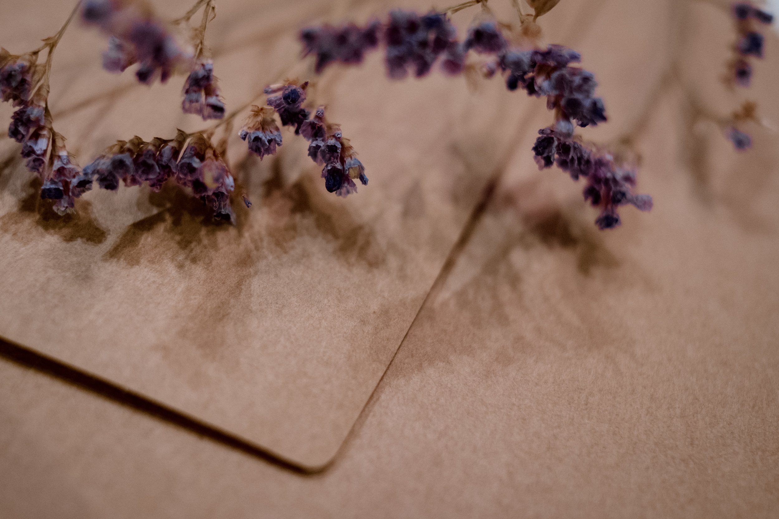 beautiful-blur-color-991483.jpg