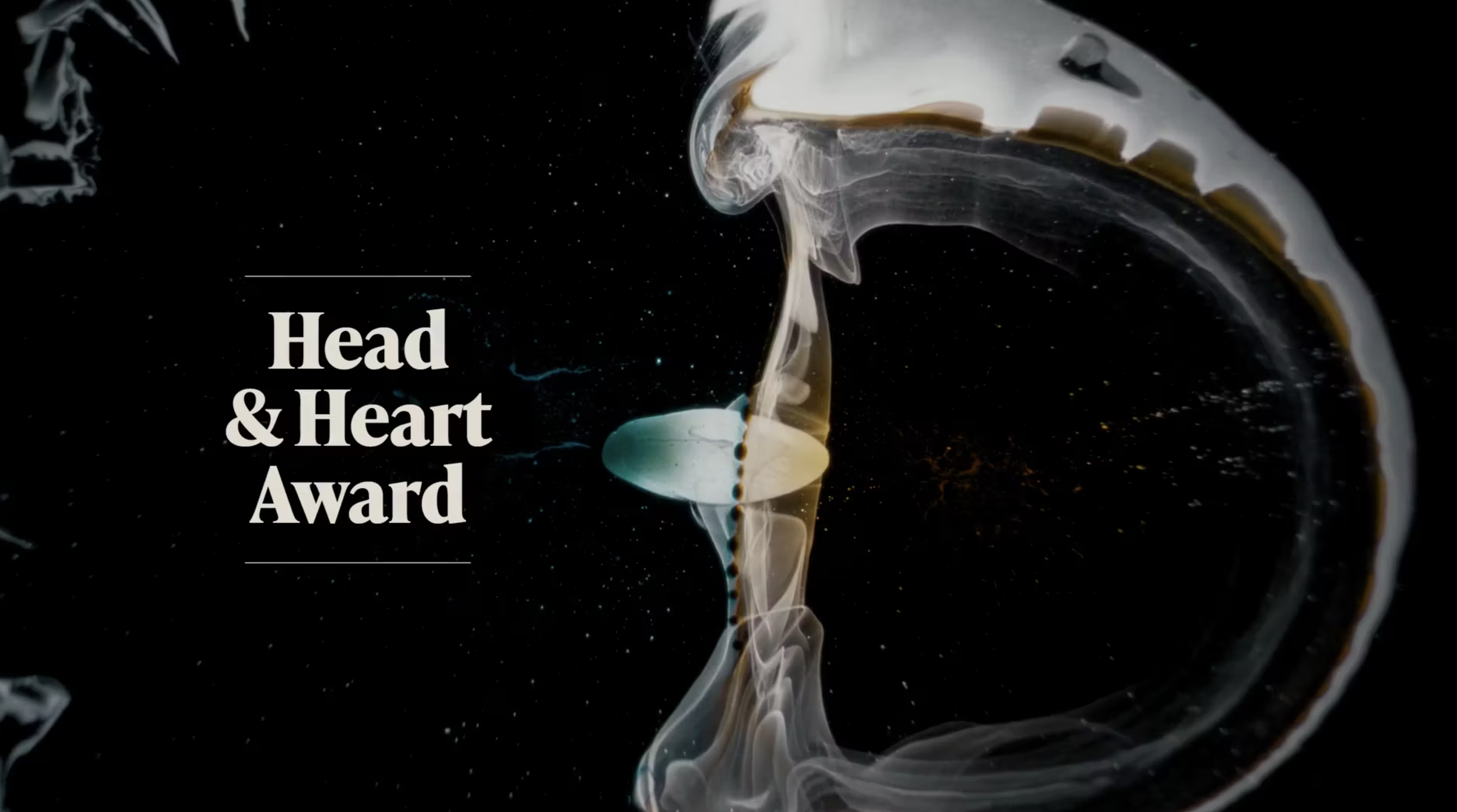 NF Forward | Head & Heart